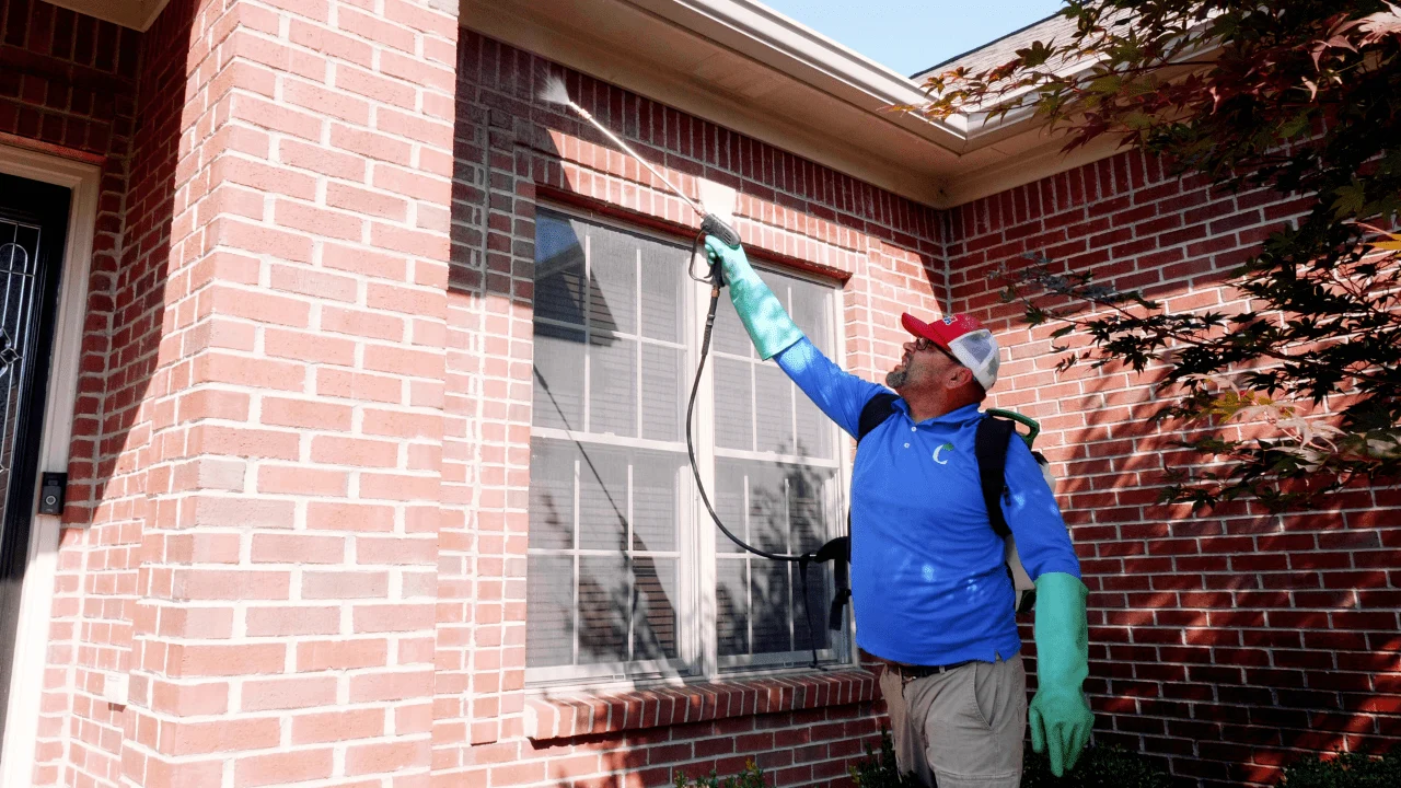 Certified Lawns Pest Division