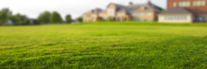 Summer Lawn Maintenance Greenwood